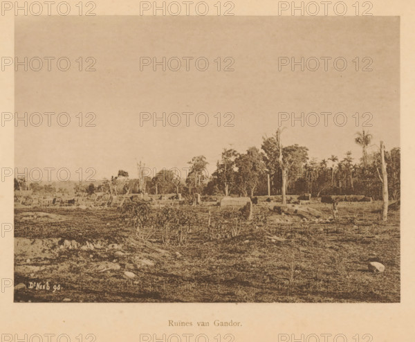 Ruins of Gandor, Ruins in a field, page, photomechanical print, maker: Christiaan Johan Neeb, c. 1892 - in or before 1897, paper, collotype, photoprint, height 122 mm x width 166 mm, landscape with ruins, Indonesia, A wide sepia-toned landscape photograph showing a flat foreground of rough, uneven ground with scattered rocks and low vegetation, a middle ground with stumps, fallen logs, and sparse small bushes, and a background of taller trees including some thin trunks and a few palm-like trees beneath a large empty sky.