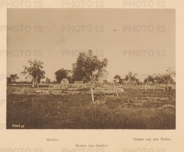 Ruins in a field, Ruins of Gandor, page, photomechanical print, inscription: 'Moskee Dalem van de Raden', maker: Christiaan Johan Neeb, c. 1892 - in or before 1897, paper, collotype, photoprint, height 122 mm x width 166 mm, landscape with ruins, Indonesia, A sepia-toned landscape photograph showing a flat field with scattered trees of varying sizes and shapes, some with leafy canopies and some appearing more sparse, with several tree trunks leaning or supported by stakes; low stone ruins and rough masonry are visible among the trees, and the foreground shows uneven ground with grass and patches of bare soil while the sky above is empty and pale.