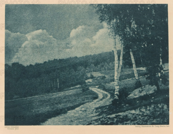 Landscape, page, photomechanical print, inscription: 'Photogr. Mitteilungen LX', monogram: 'BX', photographer: Alfred Schneider, cliché maker: Büxenstein & Comp., Georg, Berlin, c. 1898 - in or before 1903, paper, photoaquatint, height 129 mm x width 175 mm, landscapes, A grainy blue-toned landscape shows a winding lighter pathway cutting across darker fields, with a row of trees along the right edge including slender pale trunks and darker leafy canopies, a low tree-covered ridge in the middle distance beneath a sky filled with soft, billowing clouds, and a pale border around the image.