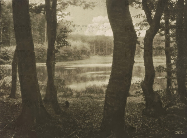 View of the Waldsee, Waldsee, page, photomechanical print, inscription: 'Photogr. Mitteilungen XL', monogram: 'BX', photographer: Otto Scharf, Meurs (possibly), cliché maker: Büxenstein & Comp., Georg, Berlin, c. 1898 - in or before 1903, North Rhine-Westphalia, paper, photoaquatint, height 132 mm x width 176 mm, lake, trees, A sepia-toned scene shows tall tree trunks in the foreground framing a calm body of water in the midground, with reflections on its surface and grassy edges; branches and leaves extend from the trunks and partially obscure a distant tree line, while soft clouds hover above the horizon and the forest floor in the foreground appears covered with leaves and roots.