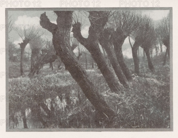 Weiden im vorfrühling, Landscape with willows, page, photomechanical print, monogram: 'BX', inscription: 'Photographische Mitteilungen XL', photographer: Otto Scharf, Krefeld (possibly), cliché maker: unknown, c. 1898 - in or before 1903, North Rhine-Westphalia, paper, autotypie, height 122 mm x width 166 mm, landscapes, trees: willow, A monochrome image showing a row of pollarded trees with thick trunks leaning at an angle and short, knobbly tops from which many thin branches sprout, standing in a grassy, marshy area with reflections of trunks and branches in still water beneath; the sky is partly cloudy and the scene is framed by a border.