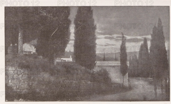 Friedhof bei Salò, View of a cemetery near Salò, page, photomechanical print, monogram: 'BX', inscription: 'Photographische Mitteilungen XL', photographer: A. Richter, Salò, cliché maker: unknown, c. 1898 - in or before 1903, Lombardy, paper, autotypie, height 119 mm x width 197 mm, churchyard, cemetery, A grainy black-and-white scene showing a pathway flanked by tall, narrow trees and dense dark foliage, with a low stone wall and a building partially visible among the trees; the sky above shows layered clouds and a lighter horizon, and the overall image has a textured, high-contrast appearance.