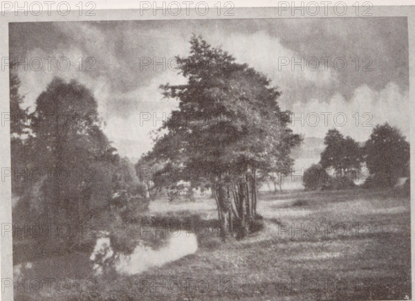 Landscape, Summertag, page, photomechanical print, monogram: 'BX', photographer: Max Albert, Rheineck (possibly), cliché maker: unknown, c. 1898 - in or before 1903, paper, autotypie, height 125 mm x width 171 mm, landscapes, A grainy monochrome image showing a landscape with a cluster of tall trees near the center, their trunks visible at the base and a dense canopy above, flanked by additional groups of trees on either side; a grassy field or clearing extends in front of the trees with a narrow reflective water channel winding through the foreground, and clouded sky fills the upper portion of the scene.