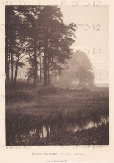 Landscape in fog, Nebelstimmung in der Mark, page, photomechanical print, inscription: 'Photogr. Mitteilungen XL', photographer: Otto Bruns, Brandenburg (state) (possibly), cliché maker: Büxenstein & Comp., Georg, c. 1898 - in or before 1903, paper, photoaquatint, height 160 mm x width 118 mm, landscapes, mist, fog, A sepia-toned photograph showing a misty landscape with tall trees clustered on the left and center, their trunks and branches dark against a pale, foggy sky, a faint group of more distant trees softened by haze toward the right, a grassy foreground with reeds and a reflective patch of water at the bottom edge, and a soft, blurred horizon line separating land and sky.