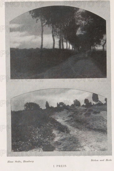 Birken und Heide, Montage of two landscapes, birch trees and a heath, page, photomechanical print, photomontage, inscription: 'I. Preis, Ausstellung on Damen-Arbeiten Hamburg 1903, Photographische Mitteilungen XL', monogram: 'BX', photographer: Elma Stoltz, cliché maker: unknown, c. 1898 - in or before 1903, paper, autotypie, height 176 mm x width 119 mm, landscapes, trees: birch, The image shows two separate black-and-white landscape photographs stacked vertically, each within a rounded arch frame; the top photograph depicts a row of tall, slender trees along the edge of a darker foreground with a path or open area receding into the distance under a cloudy sky, with dense foliage forming a canopy on one side, while the bottom photograph shows an open, uneven terrain with a winding dirt track bordered by low vegetation and scattered bushes and trees on the horizon beneath a clouded sky.