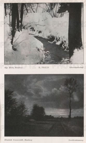 Gewitterstimmung, Landscape, page, photomechanical print, photomontage, inscription: 'Ausstellung von Damen-Arbeiten Hamburg 1903, Photographische Mitteilungen XL', inscription: 'Hamburg', monogram: 'BX', photographer: Elisabeth Groenewoldt, cliché maker: unknown, c. 1898 - in or before 1903, paper, autotypie, height 98 mm x width 125 mm, Print on third unnumbered page after page 82., landscapes, A vertically oriented page shows two black-and-white photographic images stacked with a narrow white border between them; the top photograph depicts a snowy woodland scene with a stream cutting through banks of snow, bare tree trunks and thin leafless branches rising from the snow, and dark water visible in the stream; the bottom photograph shows a dark, moody landscape with a tall, slender bare tree standing to the right, lower dense trees and shrubs silhouetted along the horizon, a cloudy sky with varied tones above, and a faint path or road leading into the scene.
