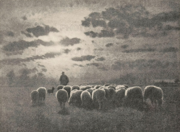 Shepherd with flock and dog, Evening, page, photomechanical print, photographer: Léonard Misonne, cliché maker: anonymous, c. 1896 - in or before 1901, paper, autotypie, height 127 mm x width 172 mm, behind semi-transparent cover., herding, herdsman, herdswoman, shepherd, shepherdess, cowherd, sheep, herd, flock, A grainy monochrome scene shows a flock of rounded sheep forms in the foreground and middle ground, their backs highlighted against a darker pasture. A small dark dog silhouette stands near the flock on the left. Further back, a lone figure in a coat and hat is visible from behind, positioned against a bright patch of sky. The sky is filled with dramatic, textured clouds with lighter areas near the center and darker cloud masses around them. The image is bordered by a light rectangular mat against a darker outer background.