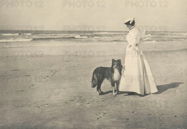 On the Beach, Woman with a dog on the beach, page, photomechanical print, photographer: William D. Murphy, cliché maker: Photochrome Engraving Co., New York (city), c. 1897 - in or before 1902, North America, paper, photoaquatint, height 122 mm x width 178 mm, behind semi-transparent cover., adult woman, beach, dog, A black and white scene of a sandy beach with waves in the background, a woman standing near the shore wearing a long light-colored dress and a hat, and a long-haired dog standing beside her facing the camera.