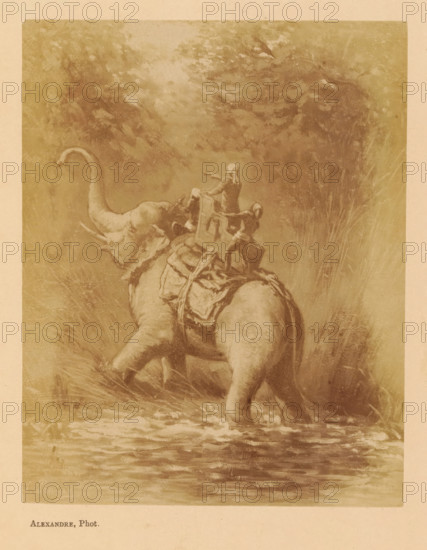 Le Ravin, Photo reproduction of Le Ravin by Jean Baptiste Robie, photograph, reproduction, page, photographer: Alexandre, after painting by Jean Baptiste Robie, c. 1878 - in or before 1883, paper, albumen print, height 131 mm x width 103 mm, behind cover, trunked animals: elephant, ravine, chasm, abyss, canyon, A sepia-toned illustration shows the rear view of an elephant wading through shallow water with its legs partially submerged, a decorative saddle and harness on its back, and two small human figures standing on the saddle holding onto gear while one points forward; tall grasses and dense foliage surround the animal and rise behind it, and the surface of the water in the foreground reflects muted tones from the scene.