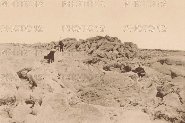 A toros. Oct 25 1882., View of a toros in the Karazee, page, photomechanical print, inscription: 'De Nederlandsche Polar-Expeditie 1882-1883.', photographer: H. Ekama, Karskoye More, cliché maker: E. Diener, Glauchau, c. 1881 - in or before 1886, Saxony, paper, collotype, photoprint, height 141 mm x width 206 mm, landscapes in polar regions, iceberg, A sepia-toned scene of a rocky, icy landscape with irregular boulders and jagged formations across the foreground and middle ground, a person standing near a pile of larger, rounded rocks holding a long pole, and a dark-colored dog standing on a ledge closer to the viewer, all beneath a pale, mostly empty sky.