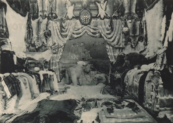 View of fur from Norway at the Antwerp World Exhibition in 1894, Fourrures de la Norwège, Exposition Universelle d'Anvers 1894, page, photomechanical print, photographer: Charles Bernhoeft, Antwerp, cliché maker: Charles Bernhoeft, Luxembourg (Belgian province), 1894, Charles Bernhoeft, photographer, cliché maker, paper, collotype, photoprint, height 154 mm x width 216 mm, world fair, world exhibition, handicrafts, animal material, skins, leather, building material, World Exhibition 1894 (Antwerp), Period, 1894-05-05 - 1894-11-05, A monochrome scene showing an interior display of animal furs and mounted animal heads arranged around a central draped opening that resembles a curtained stage; the curtains are heavy and patterned, tied back to reveal a backdrop with rock formations and birds. Along the sides and foreground are numerous pelts and rugs spread over surfaces, some with visible animal faces and teeth, and a mounted stag head with antlers positioned to the left of the curtained ...