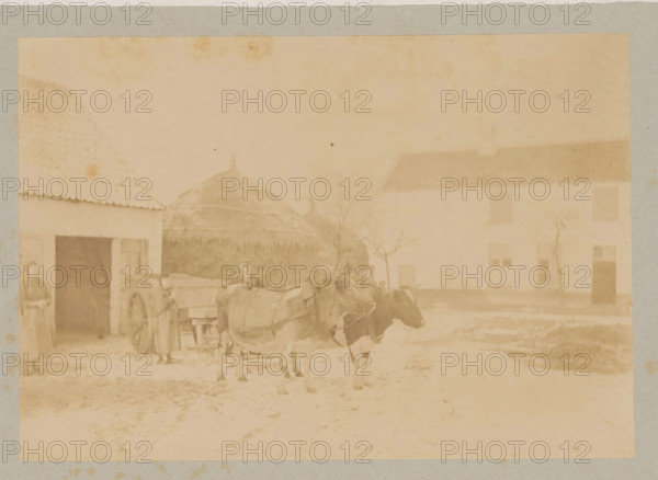 Farmer and farmer's wife with a cart pulled by two cows, photograph, page, c. 1888 - in or before 1893, photographer, paper, albumen print, height 118 mm x width 171 mm, farmers, cow, two-wheeled vehicle drawn by one animal, A faded photograph showing a courtyard scene with two oxen harnessed side by side in front of a cart, a person standing near the cart, and another person partially visible in a doorway; a large haystack and buildings with pitched roofs and shuttered windows are in the background, and bare trees stand near the buildings.
