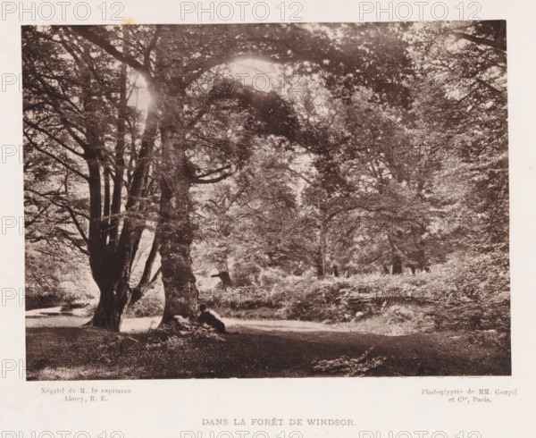In the forest near Windsor, Dans la Forêt de Windsor, page, photomechanical print, photographer: RE Abney, Windsor, cliché maker: Goupil & Cie., Paris, c. 1872 - in or before 1877, Berkshire, paper, Woodburytype, height 106 mm x width 145 mm, forest, wood, A sepia-toned photograph of a wooded scene showing large, mature trees with thick trunks and widespread branches forming a dense canopy, dappled light filtering through the leaves, a grassy and slightly uneven forest floor with patches of undergrowth, and a person sitting at the base of one of the trees leaning back against the trunk.