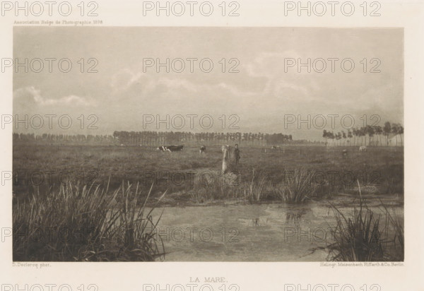 La mare, Cows in the meadow, page, photomechanical print, photographer: Désiré Declercq, cliché maker: Meisenbach, Riffarth & Cie., Berlin, c. 1893 - in or before 1898, paper, photoaquatint, height 104 mm x width 68 mm, Print on third unnumbered page after page 61., landscapes, meadow, pasture, cow, A wide, flat landscape with a shallow body of water in the foreground bordered by tall grasses and reeds, a grassy marshy field stretching back toward a distant line of trees, several grazing cows scattered across the midground, a solitary upright post near the center with a person standing beside it, a low horizon under a pale sky filled with soft, diffuse clouds.