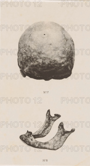 Caverne de Chauvaux, Posterior view of a skull and face on a mandible, page, photomechanical print, maker: Simonau & Toovey, c. 1870 - in or before 1875, paper, photolithography, height 206 mm x width 115 mm, (human) skull, A black and white image showing two separate photographic prints on a pale, slightly speckled background, the upper print depicting a rounded, dome-like object with a rough, textured surface and a small dark spot near its upper center, and the lower print showing a pair of irregular, curved bone-like fragments with rough surfaces and notched ends, each fragment positioned to mirror the other.