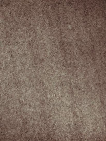 Observatoire de Meudon - études de la surface solaire (régioncentrale), Study of the solar surface, photograph, page, inscription: '23 Julliet 1877- 7h 41m 30s, (Régioncentrale), Diamètre du discque: 0m889', inscription: 'Pl. II', 1877-07-23, photographer, paper, carbon print, height 230 mm x width 170 mm, physical aspects of the sun, Zon, A mottled surface in muted brown tones fills the entire frame, showing a fibrous, slightly wrinkled texture with irregular darker and lighter patches and small scattered flecks.