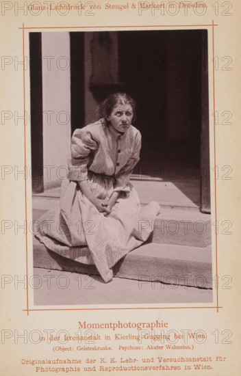 Portrait of an unknown woman in a psychiatric institution, page, photomechanical print, inscription: 'Momentphotographie, in der Irrenanstalt in Kierling-Gugging bei Wien., (Object: Geisteskranke. Psychose: Akuter Wahnsinn.)', photographer: KK Lehr- und Versuchsanstalt für Photographie, Klosterneuburg, cliché maker: Stengel & Markert, Dresden, c. 1885 - in or before 1890, Lower Austria, Saxony, paper, collotype, photoprint, height 131 mm x width 85 mm, Print on fifth unnumbered page after page 400., historical persons - BB - woman, diseases, A monochrome photograph shows a woman seated on stone steps in front of a dark doorway. She wears a light-colored, striped dress with long sleeves and buttons down the front, and the skirt is gathered around her on the step. Her hands are clasped together in her lap and her body leans slightly forward. Her hair is pulled back and appears slightly disheveled. The doorway behind her is shadowed, with a lighter vertical wall panel visible to one side....