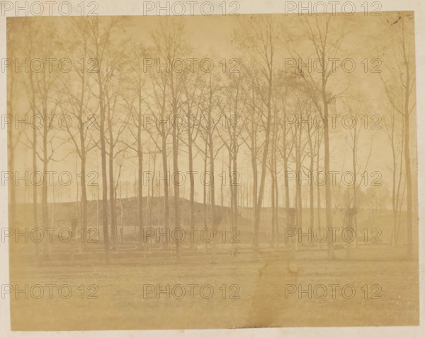 Landscape with trees, photograph, page, c. 1869 - in or before 1871, photographer, paper, albumen print, height 123 mm x width 160 mm, Photo opposite title page., landscapes, A faded sepia-toned photograph of a stand of tall bare trees with thin trunks and many branching twigs, arranged across a gentle ridge; the foreground shows a flat grassy area with faint horizontal lines, and the background contains more distant trees and a hazy sky, all framed by a lighter border around the image.