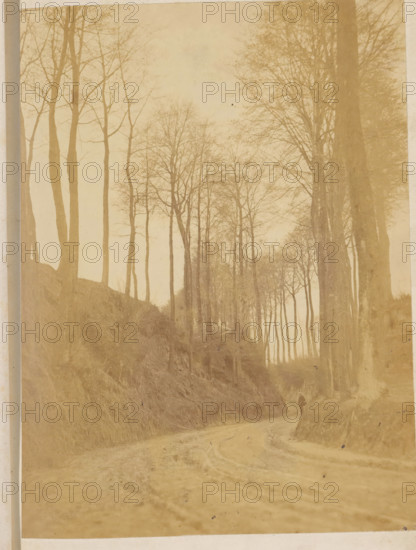 Dirt road between avenue of trees, photograph, page, c. 1869 - in or before 1871, photographer, paper, albumen print, height 173 mm x width 130 mm, forest path or lane (landscape with figures, staffage), A sepia-toned photograph of a dirt road winding upward between tall, leafless trees on sloped embankments, with slender trunks and fine bare branches forming a canopy overhead; the embankments are covered in grasses and undergrowth, and a solitary figure stands on the road near the right side of the image, partially silhouetted against the lighter background.