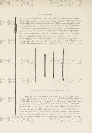 Pill. Ruin 9. Pilspetar af trä och änder af rörpilar. Ruin 9, Arrow and arrowheads found in Mesa Verde National Park, page, photomechanical print, number: 'Fig. 112. Fig. 113.', photographer: Gustaf Nordenskiöld (possibly), Mesa Verde National Park, cliché maker: Angerer & Göschl, C., Vienna, c. 1891 - in or before 1893, North America, Lower Austria, Colorado, paper, autotypie, height 365 mm x width 270 mm, Prints on page 116., archer's weapons: arrow, A faded page showing five long, narrow wooden shafts arranged vertically across the center, each with different tip shapes and textures, the leftmost shaft nearly reaching the top and bottom edges and appearing darker and more irregular, the other four clustered toward the middle with slender, tapered ends and subtle surface variations, light paper background with faint printed lines of text above and below the shafts, and small faint labels beneath the clustered shafts.