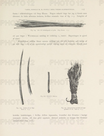 Rör till förfärdigande af pilar... Ändar af en båg, Elddrill... Juniperusbast använd vid uppgörande af eld..., Remains of tools found in the Mesa Verde National Park, page, photomechanical print, number: 'Fig. 114. Fig. 115. Fig. 116. Fig. 117.', photographer: Gustaf Nordenskiöld (possibly), Mesa Verde National Park, cliché maker: Angerer & Göschl, C., Vienna, c. 1891 - in or before 1893, North America, Lower Austria, Colorado, paper, autotypie, height 365 mm x width 270 mm, Prints on page 117., tools, aids, implements, crafts and industries, A pale page showing several black-and-white illustrations of thin wooden sticks and a bundle of fibrous material; at the top a horizontal bundle of slender rods tied near one end, below that three long tapered sticks of varying curvature and a short stubby piece, and to the right a bound tuft of coarse fibers with loose ends, all rendered with fine shading on a neutral background.