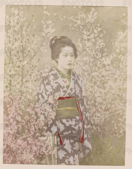 Portrait of a geisha among cherry blossoms, photograph, page, photographer: attributed to Kazumasa Ogawa, Japan, c. 1887 - in or before 1897, colorer (graphic design artist), Attributed to, paper, albumen print, hand coloring, height 243 mm x width 187 mm, Photo for page 129., adult woman, folk costume, regional costume, dress, gown, trees: cherry-tree (flowers, blossom, blossoming), A young woman stands among branches covered in pale blossoms, wearing a patterned robe with dark leaf shapes on a light background and a wide sash tied at her waist with a thin cord and hanging decorative ends; her hair is styled up with a floral hair ornament, her face is calm and lightly made up, and soft pastel tones and floral branches fill the surrounding space creating a delicate, muted backdrop.