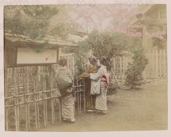 Three women in a garden at Kamakura, photograph, page, Kamakura, Japan, c. 1887 - in or before 1897, photographer, colorer (graphic design artist), Kanto, paper, albumen print, hand coloring, photographie peinte, height 186 mm x width 243 mm, Photo for page 235., garden, adult woman, Three women wearing traditional kimonos stand near a bamboo fence and a low wooden structure with a tiled roof, facing away from the camera or in profile; one woman has a green obi with a circular pattern, another wears a striped kimono with a dark obi, and the third has a pale kimono with a pink obi; there are trees and shrubs behind them, a taller wooden fence further back, and flowering branches with light blossoms extending across the upper right area of the scene.