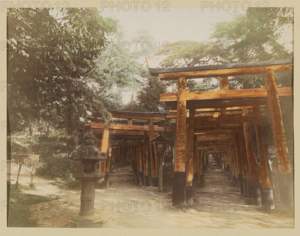 Torii gallery for the Fushimi Inari-taisha temple in Kyoto, photograph, page, Kyoto, Japan, c. 1887 - in or before 1897, photographer, colorer (graphic design artist), Kinki, paper, albumen print, hand coloring, height 186 mm x width 243 mm, Photo for page 305., gate, entrance, temple, shrine, Shinto, A pathway lined with a series of closely spaced wooden gates forming a tunnel-like structure extends into the scene, the gates showing weathered wood tones and darkened bases, flanked by tall trees with dense green foliage overhead; a stone lantern with a carved top stands near the entrance on a dirt ground, and a small wooden box on slender legs is visible to the side, while filtered light creates soft shadows along the ground and between the wooden pillars.