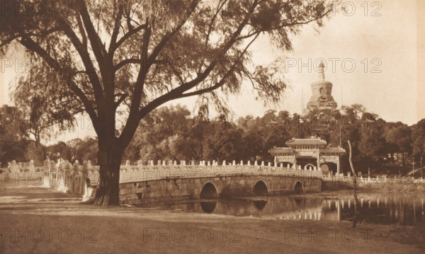 View of Beihai Park in Beijing, page, photomechanical print, photographer: Donald Mennie, Beijing, cliché maker: anonymous, c. 1915 - in or before 1920, paper, rotogravure, height 180 mm x width 287 mm, landscapes with waters, waterscapes, seascapes (in the temperate zone), bridge, palace, Beihai Park, A sepia-toned scene showing a large tree with spreading branches and drooping leaves in the foreground beside a stone bridge with decorative railings and arched openings reflected in still water, trees and shrubbery lining the far bank, a pavilion with ornate eaves near the bridge, and a multi-tiered stupa-like structure rising on a wooded hill in the background.