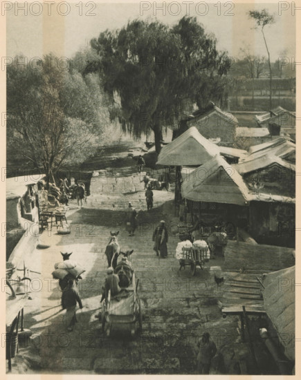Street view in Beijing, page, photomechanical print, photographer: Donald Mennie, Beijing, cliché maker: anonymous, c. 1915 - in or before 1920, paper, rotogravure, height 257 mm x width 203 mm, street, A grayscale scene of a stone street lined with low buildings with sloping roofs on one side and a low wall on the other, with a large leafy tree and other trees visible in the background; several people walk along the street, some wearing long garments, and some lead or ride animals pulling simple carts and packs; market items and stools are arranged near the wall and in front of the buildings, and a cart loaded with goods stands near the center; the ground shows worn paving stones and scattered shadows.