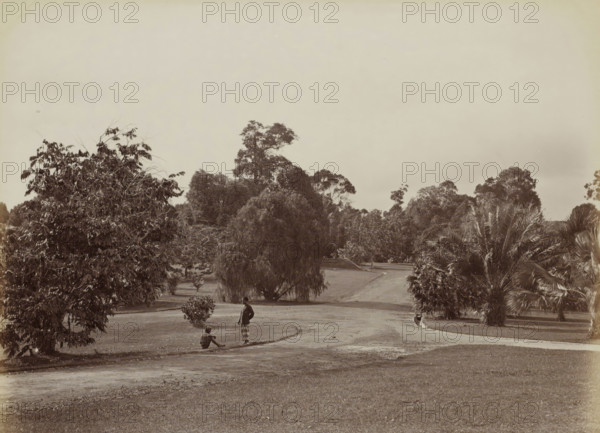 Bot. Garden, Woman and a boy in the botanical garden of (presumably) Singapore, album page, photograph, Part of Album with 50 photos of a trip through Southeast Asia., check stamp: 'GR Lambert Singapore', negative number: '49', photographer: GR Lambert & Co., Singapore, c. 1870 - c. 1900, paper, albumen print, height 209 mm x width 274 mm, botanic garden, 'hortus botanicus', A wide grassy landscape with a dirt path curving through the scene and bordered by various trees and large shrubs, including tall leafy trees on the left, a dense cluster of trees and a drooping tree near the center, and palm-like plants on the right; near the foreground two people are visible on the path, one seated on the ground and the other standing nearby, both wearing simple clothing, and a small rounded shrub sits close to them; the sky above is light and mostly clear.
