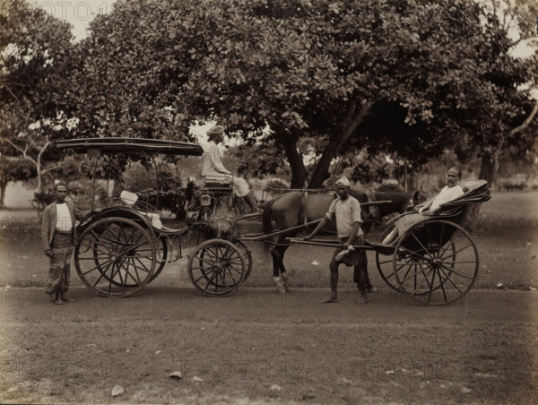 Horse and carriage and rickshaw, possibly in Ceylon, album page, photograph, Part of Album with 50 photos of a journey through Southeast Asia., Sri Lanka, c. 1860 - c. 1900, photographer, South Asia, paper, albumen print, height 210 mm x width 280 mm, animal traction, animal-drawn vehicle (carriage etc.), rickshaw, A sepia-toned scene showing a horse-drawn carriage with a canopy and large wooden-spoked wheels parked on a dirt path in front of dense trees; a seated man wearing light clothing and a turban sits on the carriage driver's elevated seat holding reins while a horse stands hitched to the vehicle; a man in a light shirt and headwrap stands beside the horse holding one of the carriage shafts; another man wearing a patterned lower garment and a jacket stands barefoot next to the rear wheel on the left side; a bearded man reclines in the passenger seat on the right side of the carriage; grass and scattered leaves cover the ground in the foreground.