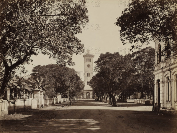 The Lighthouse at the Intersection of Queen Street (now Janadhipathi Mawatha) and Chatham Street, Colombo, album page, photograph, Part of Album with 50 photos of a trip through Southeast Asia. The lighthouse at the intersection of Queen Street (now Janadhipathi Mawatha) and Chatham Street, Colombo. Photographed looking east from Upper Chatham Street., photographer: attributed to Charles T. Scowen & Co., c. 1875 - c. 1880, South Asia, Attributed to, paper, albumen print, height 215 mm x width 277 mm, lighthouse, lightship, A wide tree-lined street leads toward a tall stone clock tower centered in the background, framed by dense foliage on both sides; large trees with spreading branches and leaves create a canopy over the roadway, casting dappled shadows on the ground. On the right side a multi-story stone building with arched windows and decorative architectural details is partially visible, its facade facing the street. On the left a low stone wall with gate posts runs alongside the s...