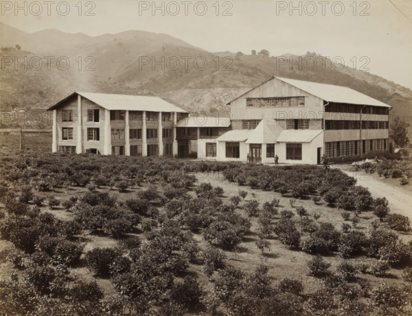 View of buildings and plantation of the Peradeniya tea factory in Ceylon, album page, photograph, Part of Album with 50 photos of a trip through Southeast Asia., photographer: attributed to Charles T. Scowen & Co., Kandy (former nation), c. 1875 - c. 1880, South Asia, Attributed to, paper, albumen print, height 217 mm x width 281 mm, plantation, A large multi-story building complex with pitched roofs sits near the base of rolling, sparsely vegetated hills; the complex includes a long rectangular structure with many windows, a connected narrower wing with evenly spaced vertical supports and windows, and a central entrance section with a small porch and glass doors flanked by windows; two people stand near the entrance area; in the foreground a field of low, bushy plants arranged in rows fills the scene, with a dirt path leading toward the building on the right; the hills behind the buildings rise gently with scattered shrubs and rocky outcrops under a pale sky.