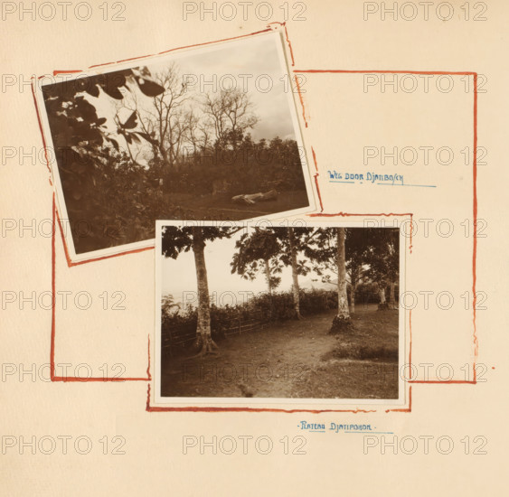 Landscapes in Jati Pohon, album page, photograph, Album page with two photos of landscapes in Jati Pohon (Djatipohon) in Grobogan. The page is decorated with borders around the photos. Part of the photo album presented to J. Habbema by the Internal Administration Corps of the Grobogan Regency, upon the termination of his administration of the Regency, probably in 1928., Grobogan, 1910 - 1928, photographer, draftsman (artist), Java, Central Java, paper, daylight gelatin silver print, drawing, height 240 mm x width 240 mm, Person, J. Habbema, Grobogan Regency, landscapes in tropical and sub-tropical regions, overseas history, Period, A beige paper page with red hand-drawn rectangular borders contains two overlapping sepia photographs; the upper photo shows a landscape with bare tree branches against a cloudy sky and leafy foliage in the foreground, and the lower photo shows a shoreline scene with tree trunks, foliage, a dirt path, and a simple woven fence along the edge, both photos have...