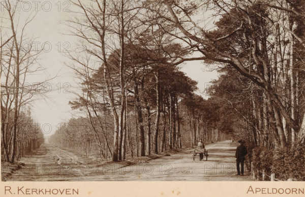 Beginning of Amersfoortschestraatweg, Beginning of the Amersfoortseweg near Apeldoorn, cabinet photograph, stamp: 'AF van Wieringen, Book, Music, & Art Dealer, Apeldoorn', collector's mark: 'Vosmaer', photographer: Richard Kerkhoven, Apeldoorn, vendor: AF van Wieringen, 1893 - 1902, Richard Kerkhoven, AF van Wieringen, photographer, vendor, paper, pasteboard, baryta paper, daylight collodion silver print, height 107 mm x width 168 mm, forest, wood, road, path, Amersfoortseweg, A wide dirt road runs through a forest of tall, leafless and sparsely leaved trees whose bare branches arch overhead and extend across the sky, with a narrower track parallel to it disappearing into the distance between rows of smaller trees. A solitary man stands near the roadside beside foliage, wearing a dark coat and hat, while another person walks away along the road pushing a small wooden cart with large wheels. The scene is monochrome with high contrast, showing textured tree trunks, scattered undergrowth,...