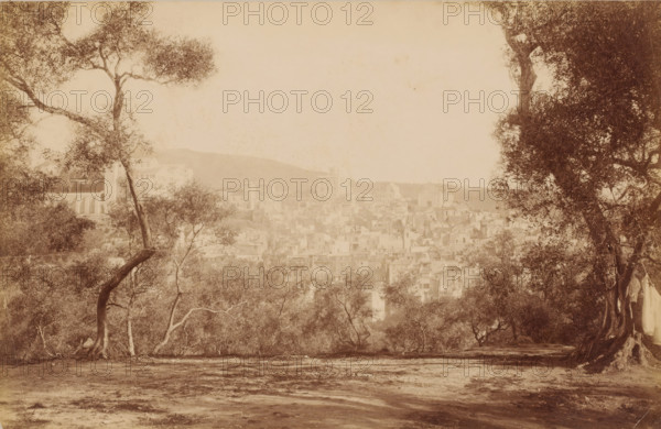View from a park ? of houses of a place partially situated on a hill and trees on either side, photograph, View from a park ? of houses of a place partially situated on a hill and trees on either side. Mediterranean architectural style ?, c. 1880 - c. 1900, photographer, paper, pasteboard, albumen print, height 186 mm, width 289 mm x width 387 mm, height 300 mm, A sepia-toned view shows a town of densely packed light-colored buildings on a hillside seen through a foreground of large, gnarled trees with twisting trunks and leafy canopies; the ground in front appears bare with patches of dirt and sparse vegetation, and the trees frame the town on both sides with branches and foliage creating a natural border around the clustered structures.