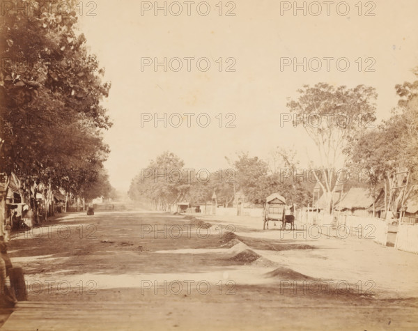 Street, Dutch East Indies ?, photograph, View of an unpaved road with a donkey cart, a series of shops, houses ? on the left, Dutch East Indies ?., c. 1880 - c. 1900, photographer, paper, pasteboard, albumen print, height 217 mm, width 267 mm x width 414 mm, height 321 mm, A wide, sunlit unpaved street lined with large trees on both sides stretches into the distance, with small thatched and wooden structures set back behind fences along the right side and open-fronted stalls and shelters beneath the trees on the left; a simple two-wheeled cart hitched to an ox stands near the right foreground beside a low pile of earth, and faint figures and shadows are visible along the shaded left side under the trees; the scene is sepia-toned with a high, pale sky occupying much of the upper frame.
