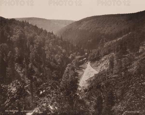 Radauthal vom Bärenstein', Harz, Germany, photograph, View of the Radauthal from a high vantage point, 'from Bärenstein'. Bärenstein is a place in the German state of Saxony, and is part of the Erzgebirgskreis district. However, the inscription 'vom Bärenstein' suggests that it concerns a mountain or rock., inscription: 'Stengel & Co., Dresden 1898.', number: '13.', inscription: '3243. Radauthal vom Bärenstein', publisher: Stengel & Co., photographer: Stengel & Co., 1898, Stengel & Co., publisher, photographer, paper, photoaquatint, heliogravure, height 225 mm, width 230 mm x width 457 mm, height 351 mm, A wide, sepia-toned landscape showing a deep valley flanked by densely forested hills, with a lighter, unpaved road or clearing running up the center of the valley toward the distant ridge; trees of varying heights and foliage cover the slopes, with rocky outcrops visible on the right-side slope and a few scattered open patches among the trees; the sky appears pale and empty above the ...
