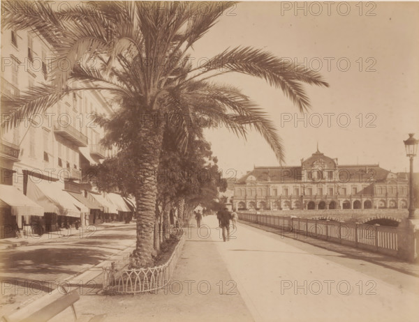 Boulevard, France ?, photograph, View of the boulevard with shops on the left, a bridge and behind it a large building on the right, with shop fronts displaying 'Renaissance' =museum?, and palm, other trees., c. 1880 - c. 1910, photographer, paper, pasteboard, albumen print, height 208 mm, width 270 mm x width 447 mm, height 326 mm, A sepia-toned street scene with tall palm trees lining a wide promenade alongside a railing and water, an ornate multi-story building with arched openings and decorative roofline visible across the promenade, a row of buildings with awnings and balconies on the left, a few pedestrians walking along the pathway, a lamppost near the right edge, and shadows cast on the ground.