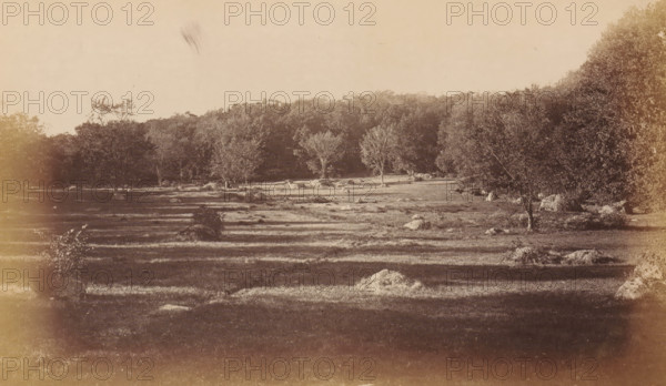 West Roxbury Park, photograph, page, photographer: Allen & Rowell, Boston (Massachusetts), c. 1878 - in or before 1883, North America, Massachusetts, paper, albumen print, height 113 mm x width 190 mm, public gardens, park, A wide grassy meadow with patches of taller grass and scattered rocks and mounds extends across the foreground and middle ground, with long horizontal shadows banding the field; a line of trees with varied canopies borders the meadow and continues into a densely wooded hillside in the background, while individual trees with visible trunks stand nearer the center and right; the sky above is pale and mostly empty, and the overall image has a sepia tone with subtle darkened edges.