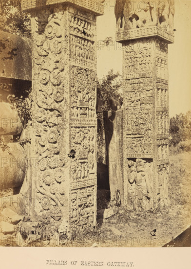 Pillars of the eastern gateway (torana) of the Great Stupa at Sanchi, Madhya Pradesh, India, photograph, page, inscription: 'SANCHI. PLATE XIII., PILLARS OF EASTERN GATEWAY.', photographer: James John Waterhouse, Sanchi, c. 1863 - in or before 1868, Central India, paper, albumen print, height 241 mm x width 191 mm, Photo eight pages after page 104., column, pillar, architecture, gate, entrance, places and objects of worship, Hinduism, Buddhism, Jainism, Two tall intricately carved stone pillars stand side by side in an outdoor setting, each covered in detailed reliefs including floral motifs, rows of small figurative scenes, and larger sculpted figures; the left pillar shows swirling rosette patterns and framed narrative panels, while the right pillar features stacked horizontal bands of carved scenes and a prominent standing figure near its base; patches of vegetation grow around the pillars and a stone lintel or arch fragment is visible behind them, with sunlight casting soft shadows...