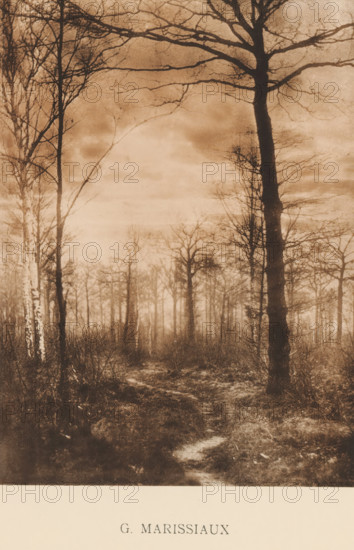 Landscape with trees, Sentiment d'Art en Photographie, photomechanical print, This print is part of 8 covers with 22 text sheets and 89 prints on loose sheets in and between the covers., number: 'Vol. II, No 1, Planche 2.', photographer: Gustave Marissiaux, clichémaker: anonymous, printer (person): Liorel & Cie., c. 1895 - in or before 1900-01, Gustave Marissiaux, Liorel & Cie., photographer, clichémaker, printer (person), paper, collotype, photogravure, height 219 mm x width 163 mm, landscapes, trees, A sepia-toned photograph of a forest scene showing tall, leafless trees with thin branches reaching across the sky, a narrow winding path cutting through low underbrush and ground vegetation, a misty or hazy atmosphere that softens details in the distance, darker tree trunks and lighter patches of sky creating contrast, and a pale border at the bottom with printed text centered within it.