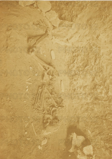 Human skeleton in the caves of Baoussé-Roussé, photograph, page, photographer: Anfossi & Radiguet, Provence-Alpes-Côte d'Azur, in or after 1872-03-26 - in or before 1873, Anfossi & Radiguet, photographer, paper, albumen print, height 162 mm x width 225 mm, cave, grotto, (human) skeleton, A sepia-toned overhead view of a partially excavated area showing scattered bones and rock fragments embedded in packed earth, with a long linear arrangement of skeletal elements including curved ribs and a skull near the center, clusters of small bone pieces and elongated bone shafts along the same line, irregularly shaped rocks and stones piled toward the top, and textured soil surfaces with areas of compacted and looser dirt filling the rest of the frame.