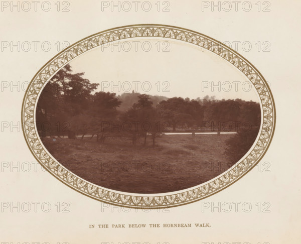 View of Richmond Park, In the Park below the Hornbeam Walk, page, photomechanical print, Richmond Park, c. 1879 - c. 1889, London, paper, Woodburytype, height 100 mm x width 146 mm, public gardens, park, A circular sepia-toned photograph framed by a decorative patterned border shows a landscape with a foreground of grassy terrain and scattered trees, a midground of larger trees forming a dense treeline, and a distant hill topped by a small vertical structure. The trees vary in shape with some having more open canopies and others appearing denser, and a narrow body of water runs horizontally behind the foreground trees. The decorative border around the photograph features repeating floral motifs and curved lines, and the surrounding area outside the circle is a plain light-toned background.