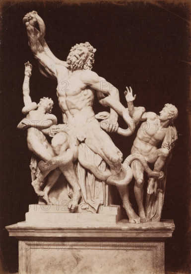Laocoön group in the Vatican Museums, photograph, page, Vatican Museums, c. 1850 - in or before 1860, photographer, Vatican City, paper, albumen print, height 135 mm x width 98 mm, Photo after page 186., Laocoon and his twin sons are strangled by two serpents during the preparations for a sacrifice, A pale marble sculpture of three muscular male figures entwined with large serpents stands on a rectangular plinth against a dark background; the central older bearded figure rears upward with a strained expression, his torso and limbs tensed and one arm raised as a serpent coils around him, while the two younger figures on either side also struggle with serpents, one reaching upward with a contorted face and the other leaning back with an outstretched hand, a draped cloth falls from the shoulder of the right figure and the serpents wrap around legs and waists, the carved base shows layered moldings and a smooth front panel.
