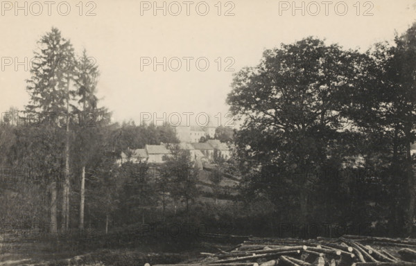 Landscape with Château de Vyle-Tharoul, Chateau de Vyle-Tharoul, page, photomechanical print, photographer: attributed to Victor Gaillard, Liège, cliché maker: attributed to Emile Aubry, Brussels, c. 1885 - in or before 1890, Attributed to, paper, collotype, photoprint, height 104 mm x width 157 mm, landscape with tower or castle, A sepia-toned landscape showing a wooded hillside with tall evergreen trees on the left and a large broadleaf tree on the right, a cluster of buildings with pitched roofs and a tower partially visible among the trees in the middle distance, and a foreground area with cut logs piled along the lower edge.