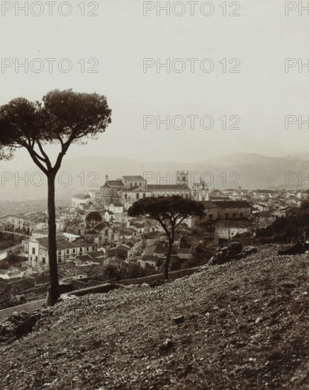 N. 244 Palermo Monreale panorama, Palermo Monreale, photograph, photographer: Giuseppe Incorpora, Palermo, Netherlands, c. 1893 - c. 1903, Sicily, paper, pasteboard, albumen print, albumen print on photo paper on cardboard in album, height 203 mm x width 257 mm, height 309 mm x width 507 mm, A sepia-toned hillside view overlooking a town with densely packed rooftops and narrow streets, two tall umbrella-shaped trees in the foreground with textured trunks and canopies, a large ornate cathedral or church with towers and arched windows rising above the surrounding buildings, a domed structure among the rooftops, rolling hazy hills in the distant background, and a rocky, uneven foreground slope scattered with small stones and sparse vegetation.