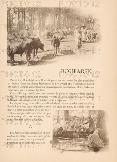Group of men and cows in Boufarik, Algeria, page, photomechanical print, maker: Jules Gervais-Courtellemont, c. 1888 - in or before 1893, paper, collotype, photoprint, height 101 mm x width 163 mm, adult man, cow, North Africa, Boufarik, A sepia-toned printed page showing a large rectangular photograph at the top of people and cattle standing among tall trees, with several figures wearing wide-brimmed hats and loose garments and animals grazing or standing in the foreground, a large centered heading in uppercase letters below the photo, blocks of printed body text beneath the heading filling the left and center of the page, and a smaller rectangular photograph at the lower right depicting seated and standing figures near trees and baskets; the page background is aged and textured.