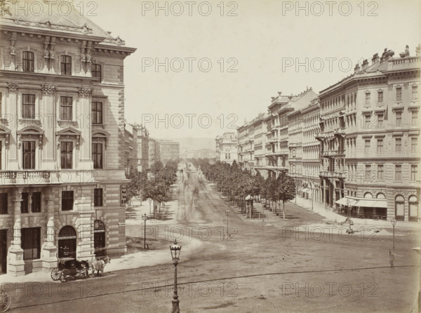 View of an Allee in Vienna, Wien, Vienna, Vienne, photograph, title, number: '20', signature, photographer: Oscar Krämer (signed by artist), c. 1870 - c. 1880, Lower Austria, paper, pasteboard, albumen print, albumen print on pre-printed cardboard, height 191 mm x width 255 mm, city-view in general, 'veduta', A wide street flanked by rows of trees runs between tall stone buildings with ornate facades and multiple windows; the left foreground shows a large corner building with columns, decorative sculptures, and arched ground-level openings where a horse-drawn carriage is parked; the right side features a long line of similarly styled multi-story buildings with balconies and awnings above ground-level entrances; lamp posts stand along the street and in the foreground, and a distant view along the avenue reveals more buildings fading into the background under a pale sky.